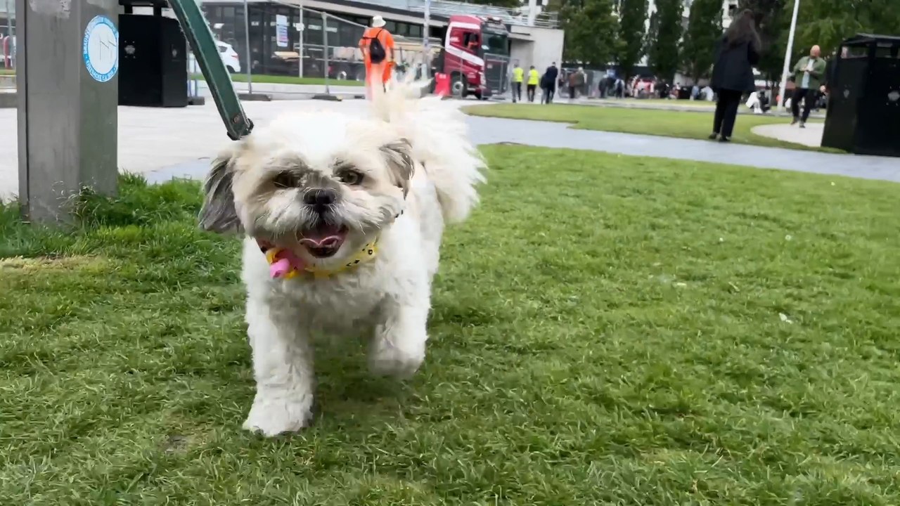 January: How to beat the blues