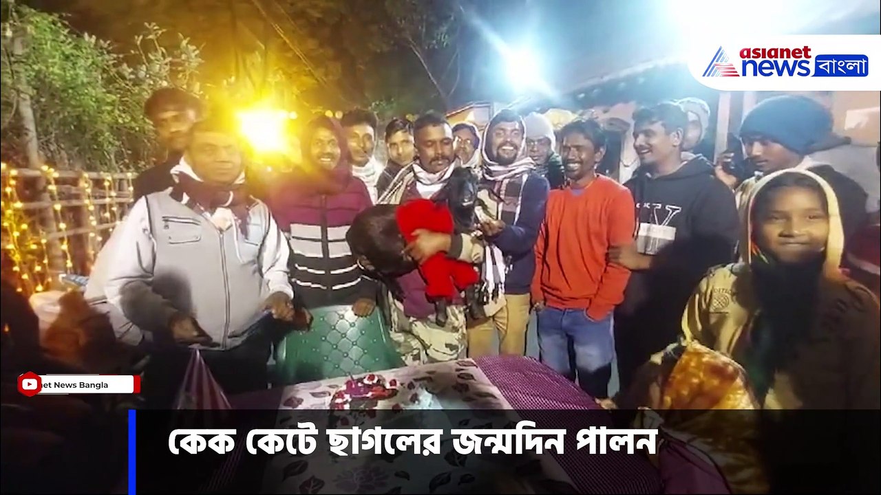 কেক কেটে ছাগলের জন্মদিন পালন