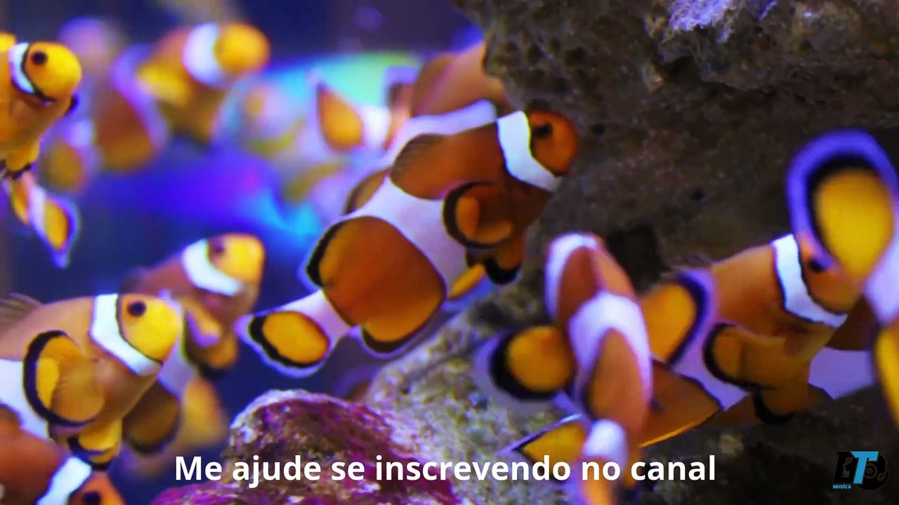 Música Relaxante para Sono Profundo - Piano | Relaxing Music for Deep Sleep - Piano