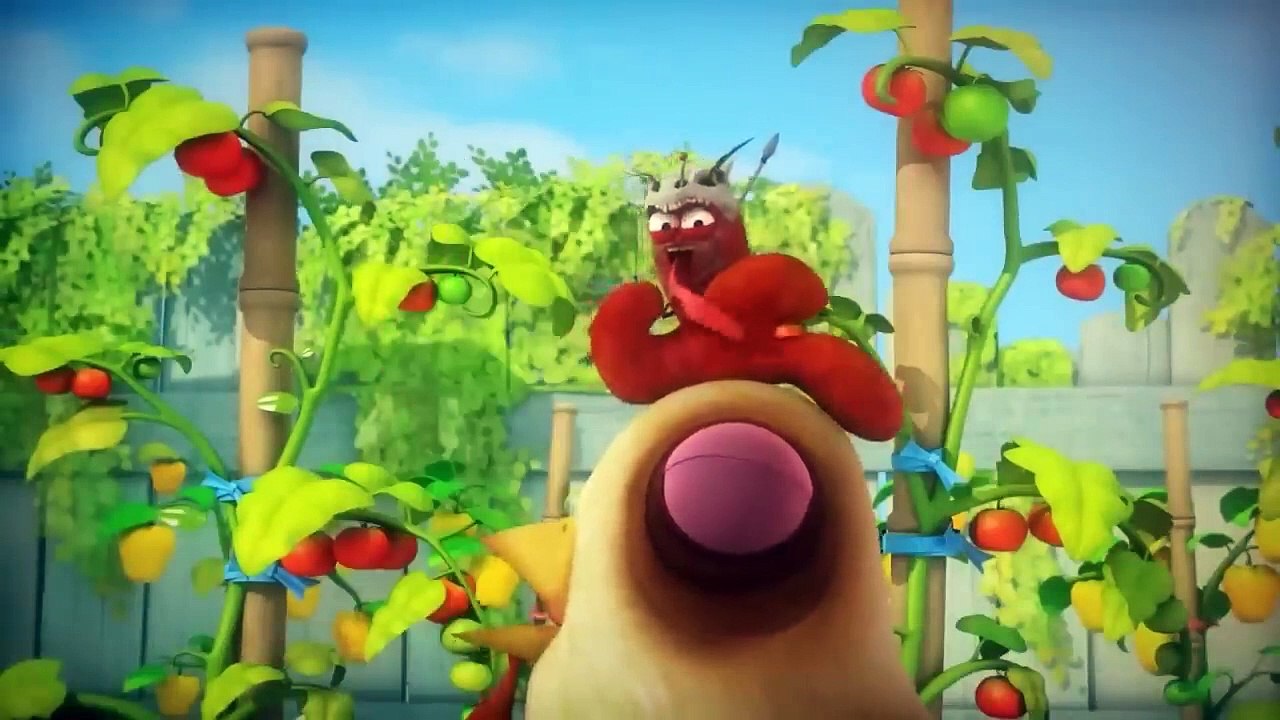 Larva Season 2 Episode - Miniseries from Animation HD