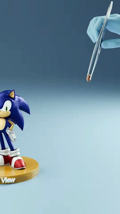 Bee heart vs Whale Heart