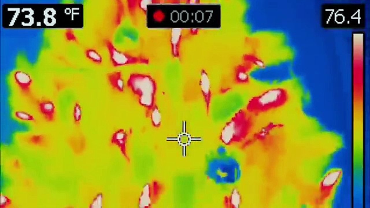 la niebla película completa en latino