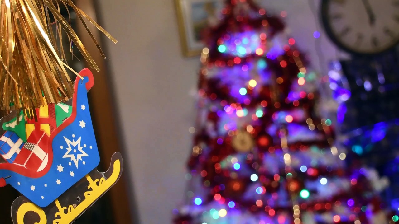 Festività Natalizie 2024-2025 🎄