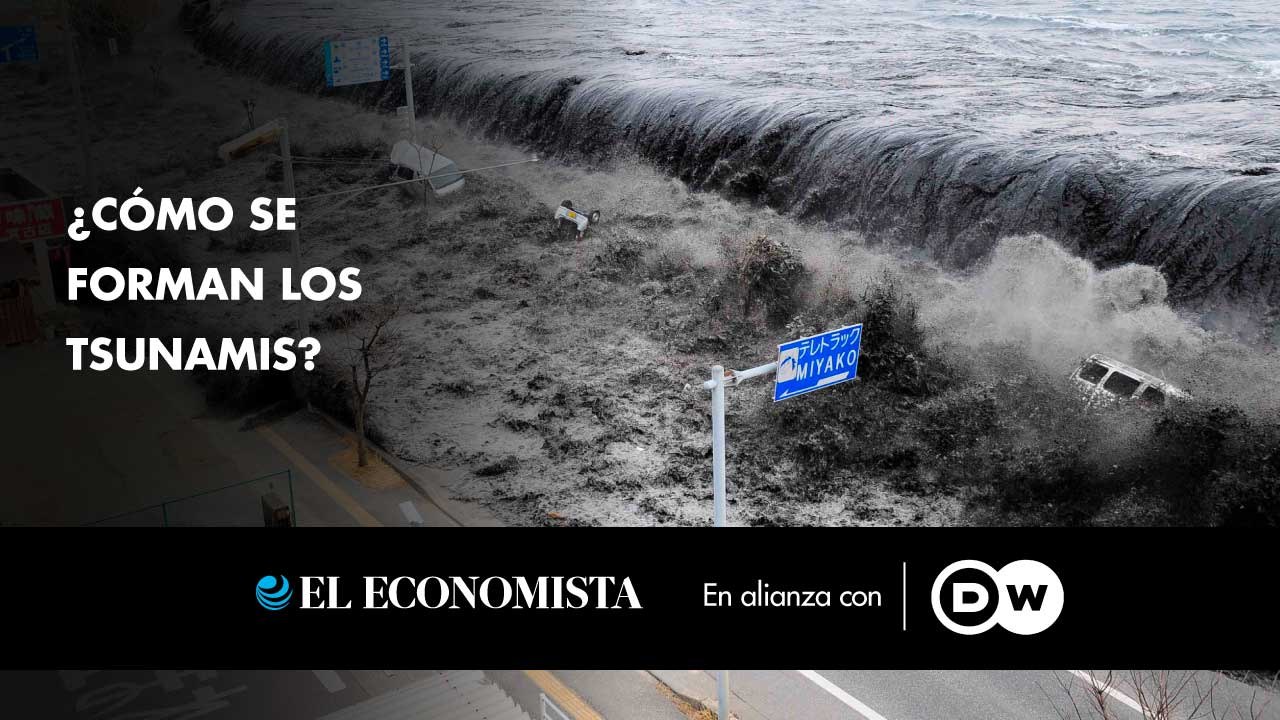¿Cómo se forman los tsunamis?