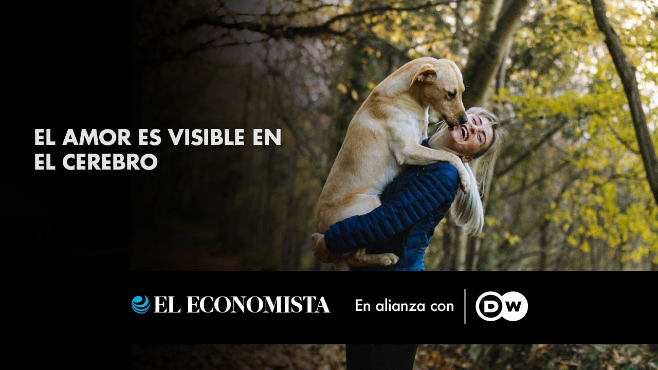 El amor es visible en el cerebro