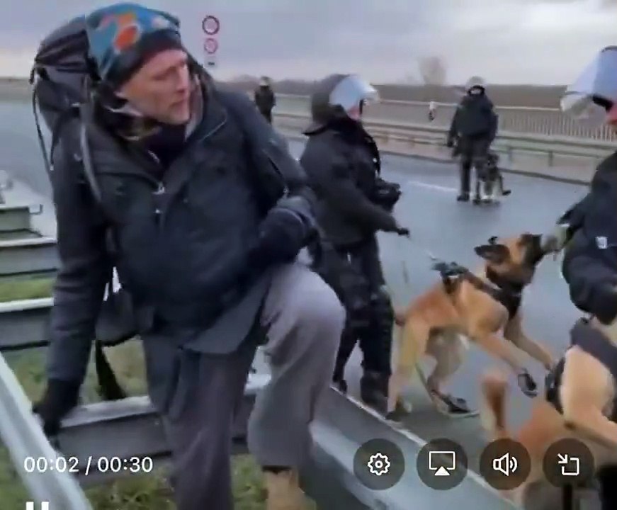 Alman polisi köpek gibi saldırdı!