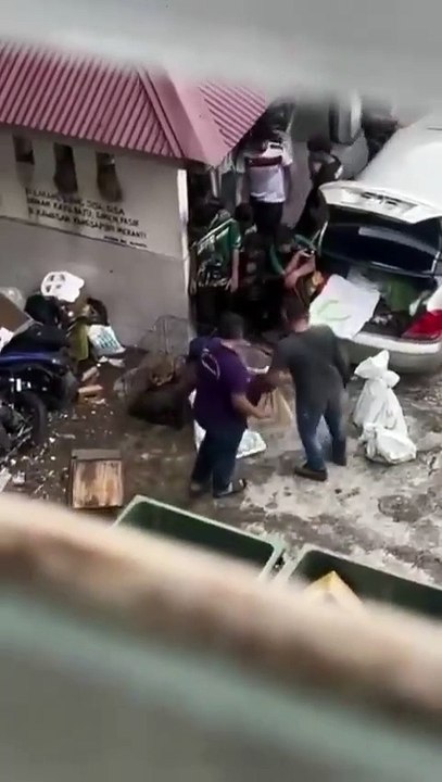 “我们没有杀猫” 组屋管委会麻袋装猫咪放生