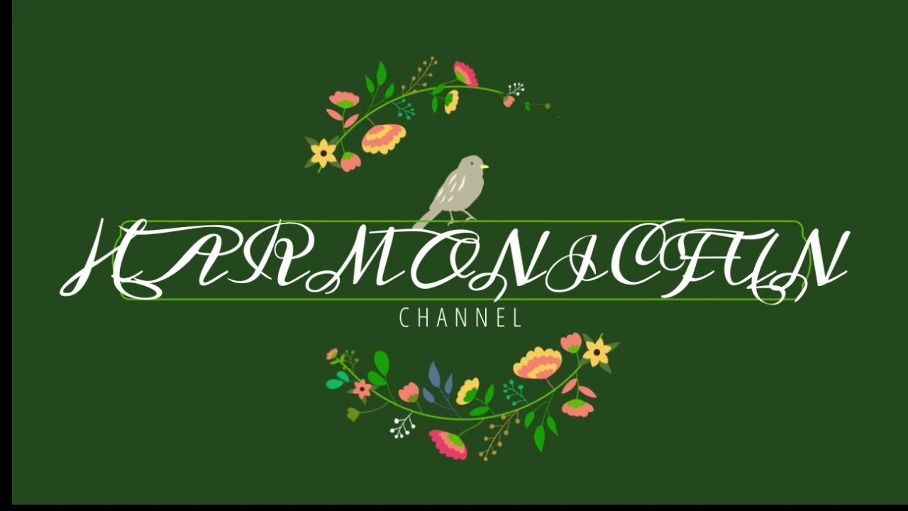 Serene Acoustic Guitar Music