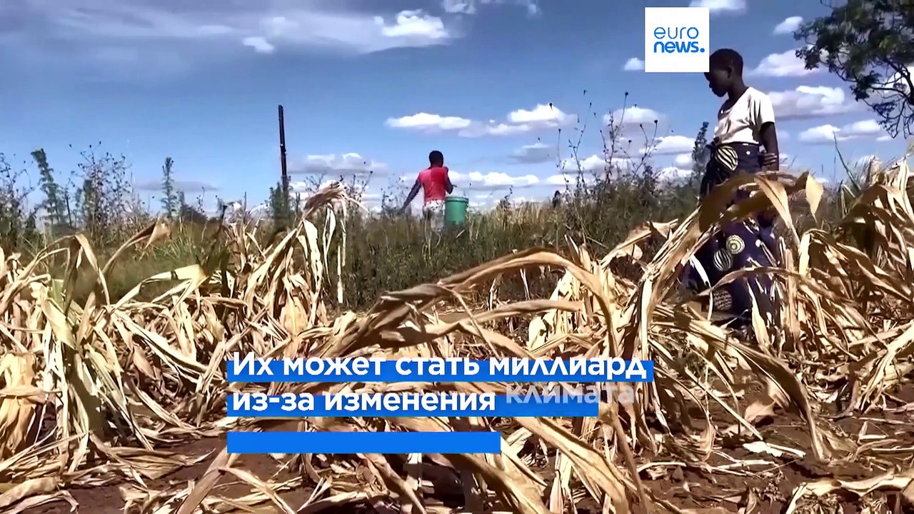 153 эксперта: без прорыва в области продовольственной безопасности человечество ждёт голод