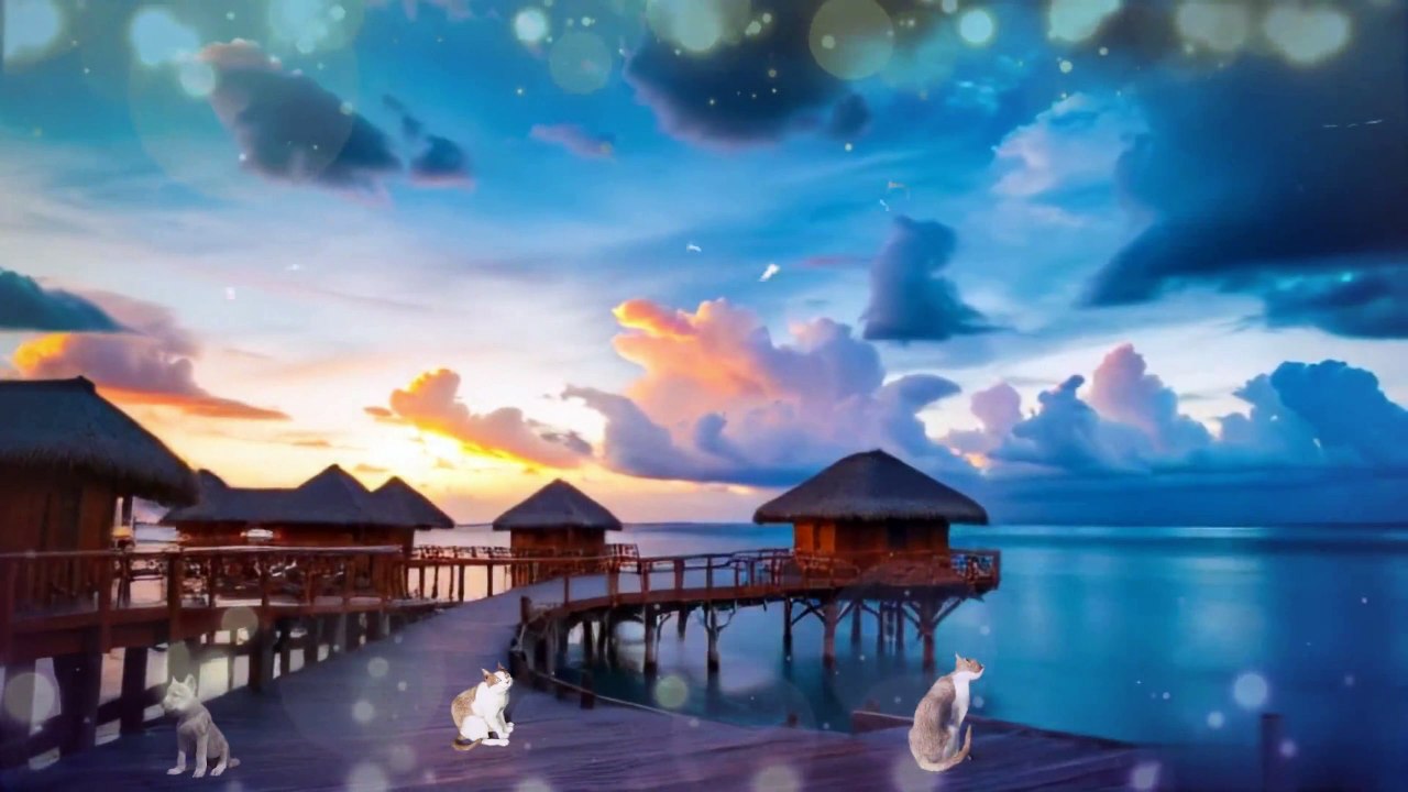 Feel-Good: Jazz Relaxing Music for Work, Study, and Coffee Shop Vibes