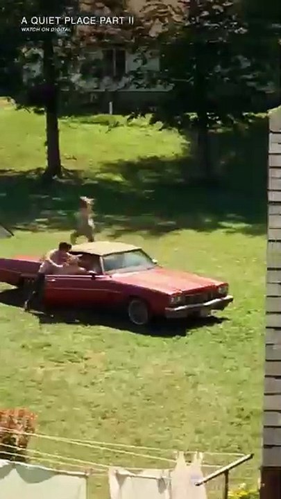 Honking while in A Quiet Place 🚩🚩POV: That spider in your room is just a