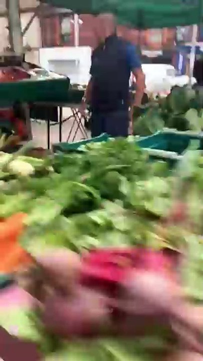 Side-Splitting Prank Reactions