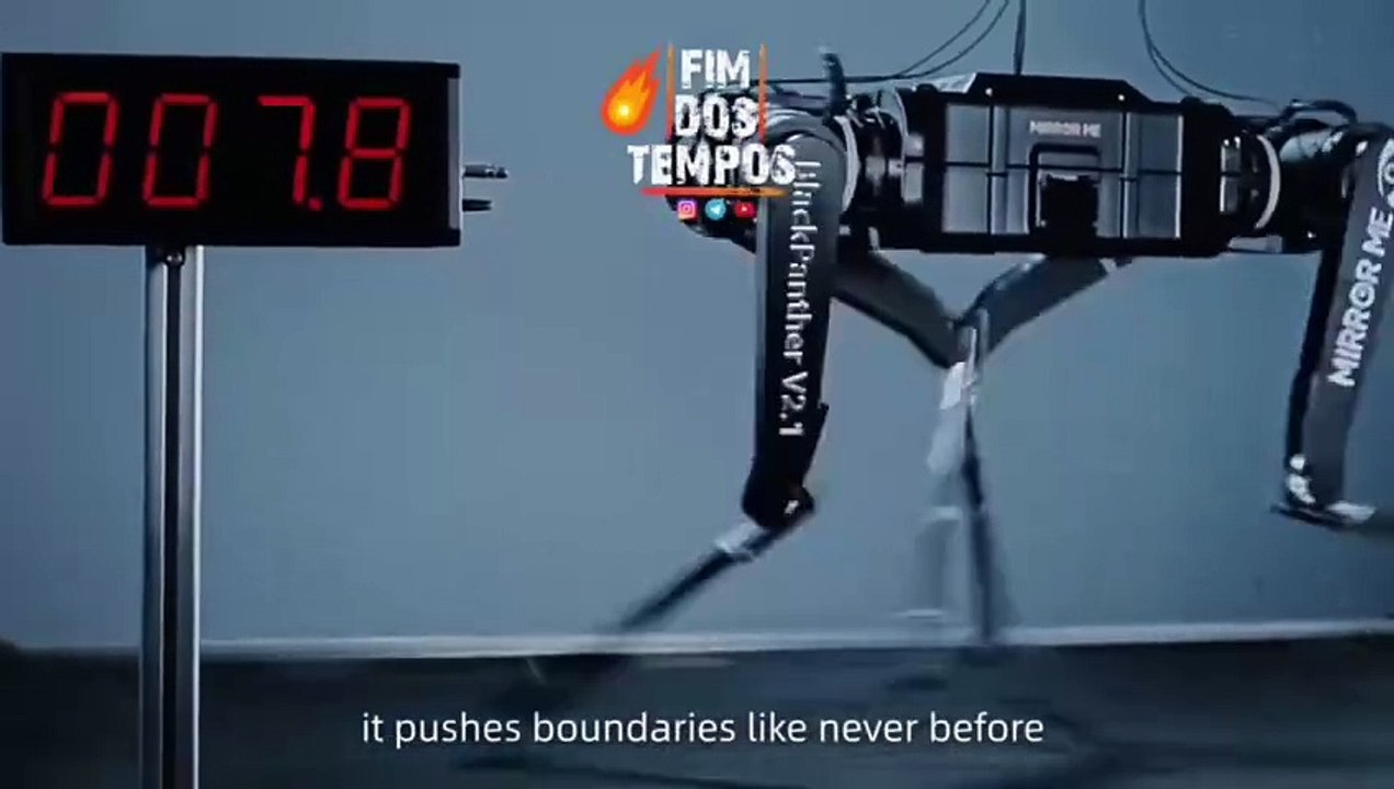 IA: Cão robô surpreende em tecnologia