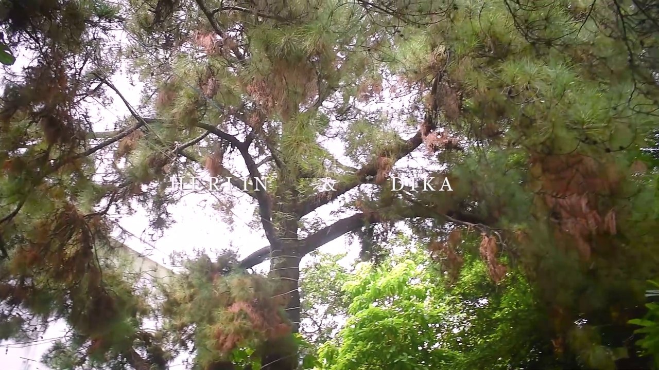 Cinematic Video Herlin & Dika