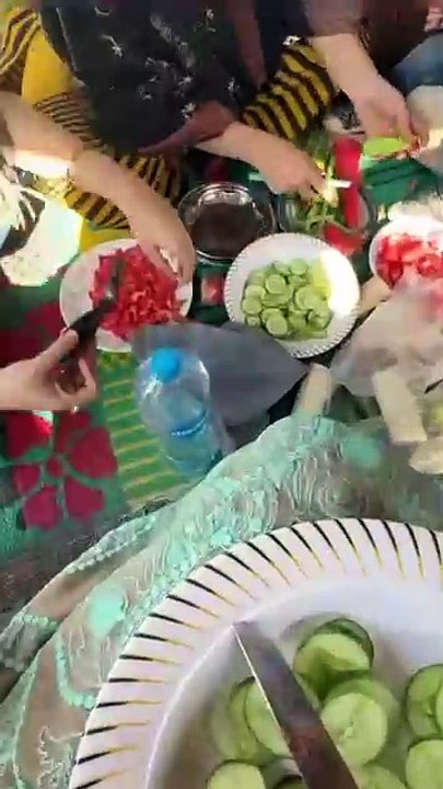 One day experience a village life