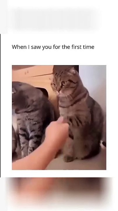 When he saw me for the first time 😁💗 #shortvideo #viralshorts #firstsightlovestatus #loyallove