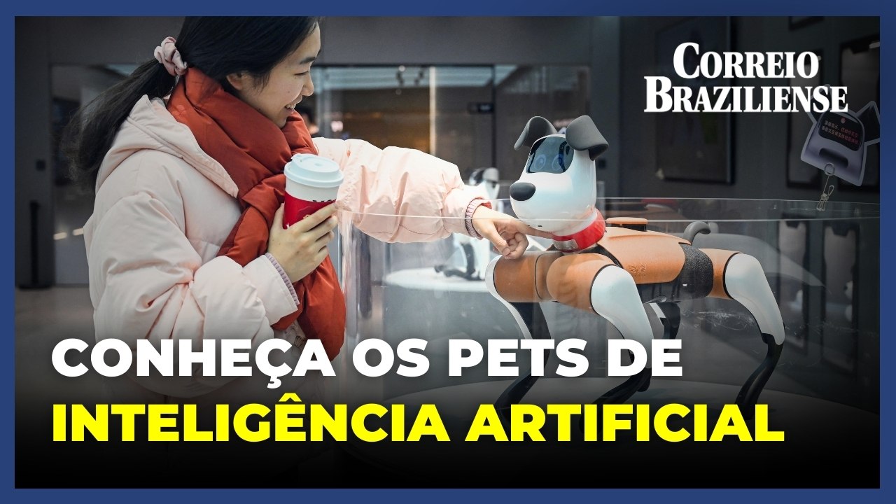 Pets de inteligência artificial fazem sucesso na China