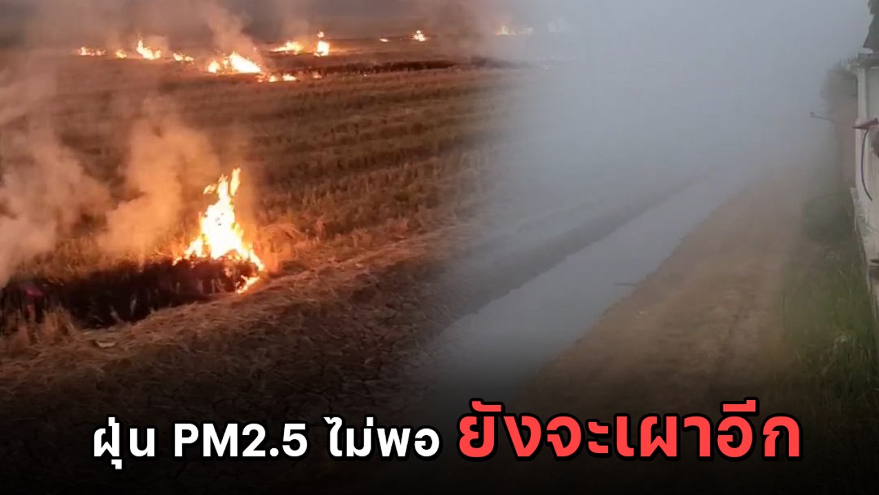 เผากันไม่แผ่ว ! ฝุ่น PM2.5 หนัก ยังเผากันจนหมอกคลุมทั่วถนน