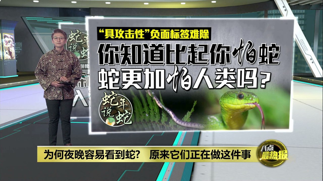 具攻击性负面标签难除   你知道比起你怕蛇“蛇更怕你”吗?