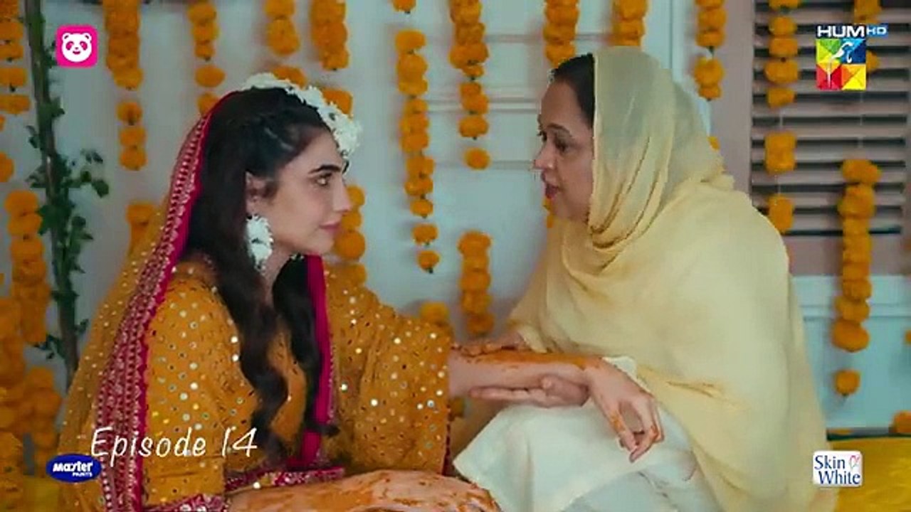 Meem Se Mohabbat - Episode 14 - 30th January 2025