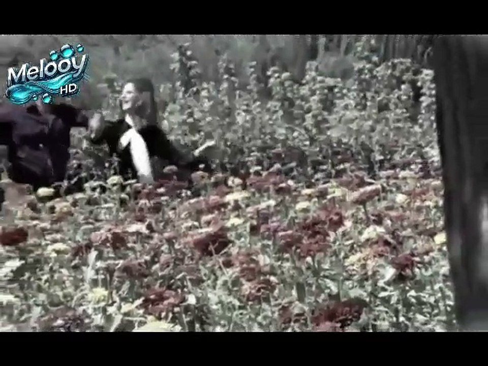 فيلم النصابين الخمسه بطولة نور الشريف