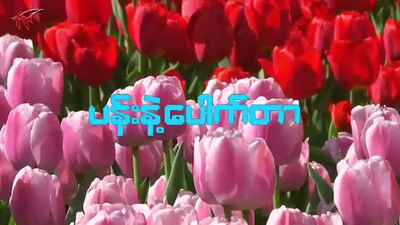 ပန်းနဲ့ပေါက်တာ နေတိုး၊ ဝတ်မှုန်ရွှေရည်၊ နန်းထိပ်ထားစံ