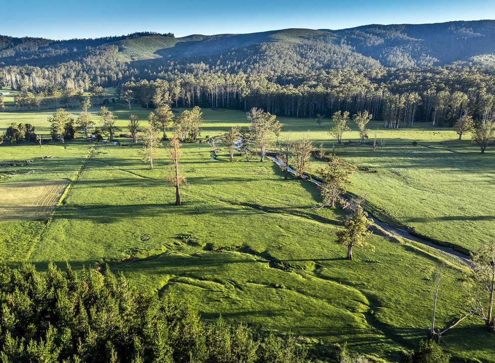 One of north-east Tasmania's prestigious land holdings - Mineral Banks.