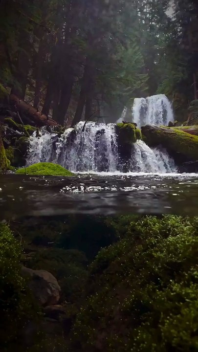 Nature relaxing videos