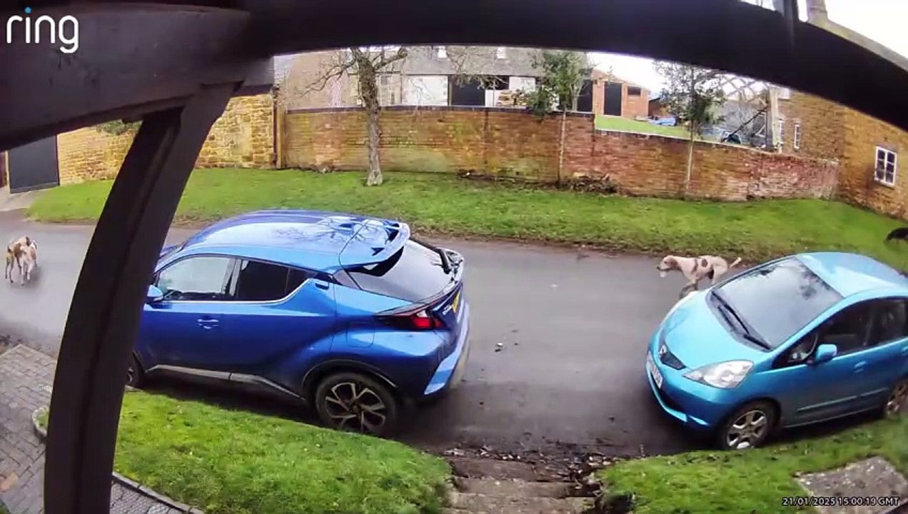 Bicester with Whaddon Chase