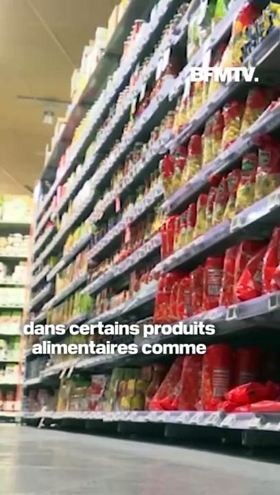 La farine de ver, une poudre d'insectes bientôt autorisée dans nos assiettes