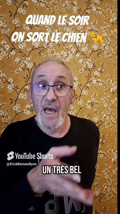 Quand tu sors le chien le soir 🦮