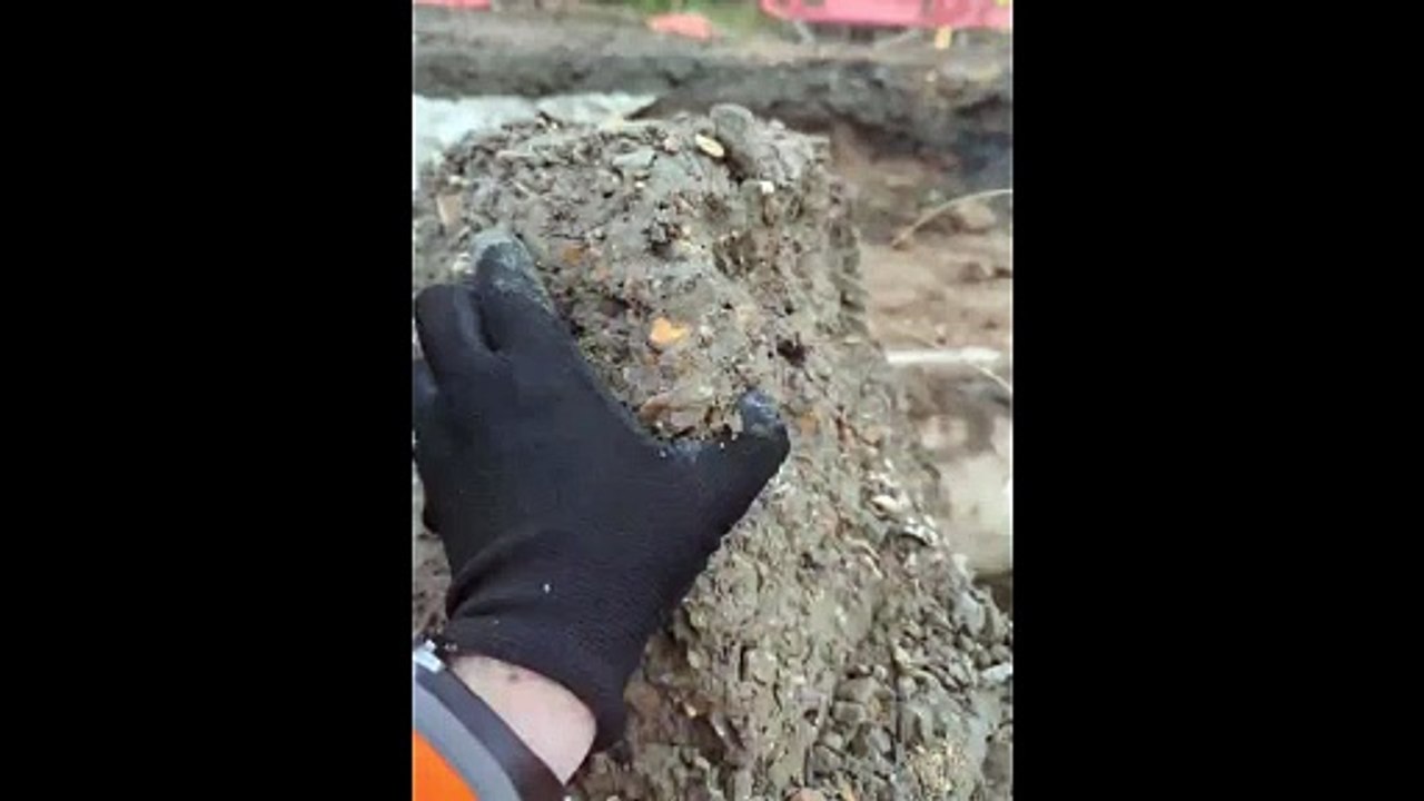 Video secured from the FOI of the site