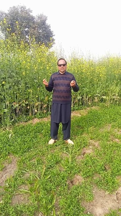 Watch how too much use of pesticides is harmful.