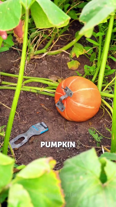 Bloom better! Time-saving gardening tips & tricks!