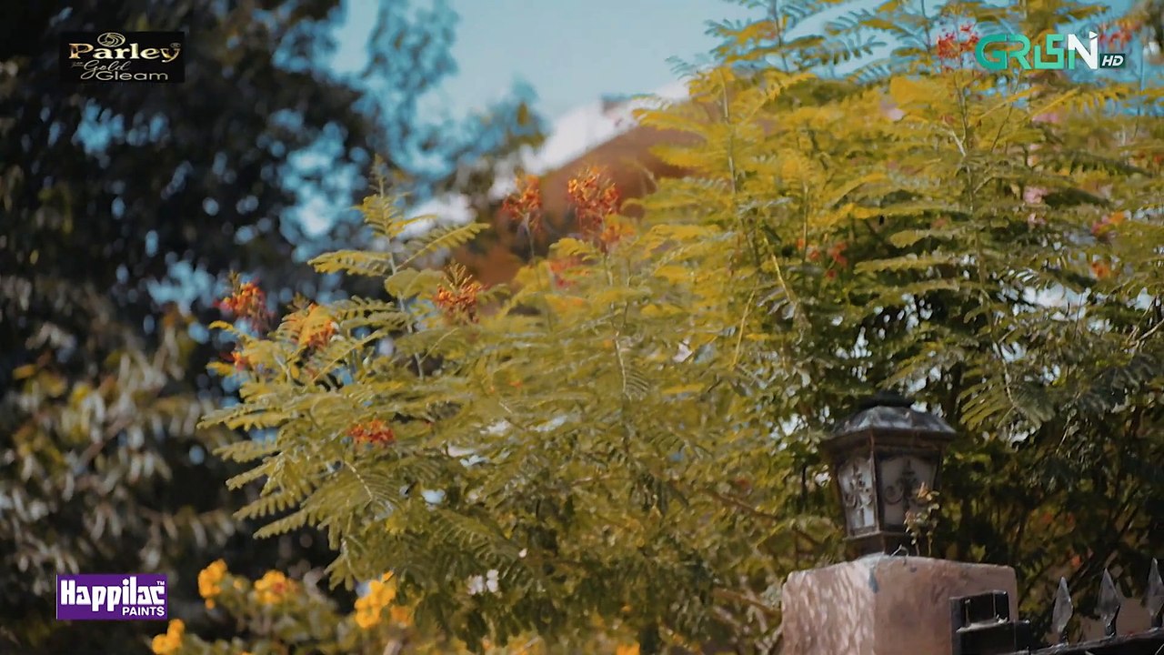 Faraar Episode 13 - Hamza Ali Abbasi - Ahmed Ali Akbar - Sohai Ali Abro