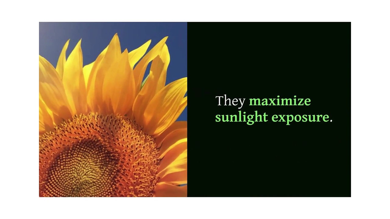 Understanding Solar Tracking Systems Its Working, Types, Pros, and Cons