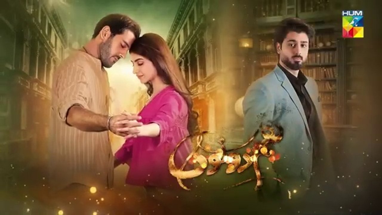 Hum Dono 2nd Last Episode 30 [CC]_-_11th_Feb_2025_[_Kinza_Hashmi___Azaan_Sami_]_-_HUM_TV(360p)