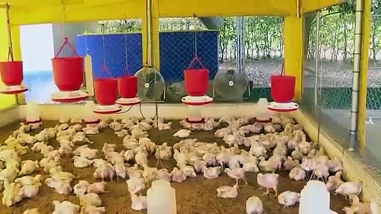 37 ADA PRECIOS MINISTRO   T.1.22