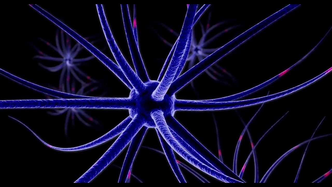 10 Brain Healthy Foods Will Boost Your Memory | Brain Booster Foods | Health Tips |