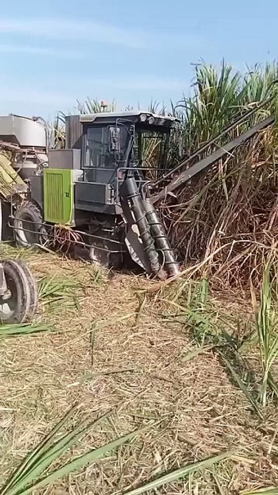 los angeles earthquake today