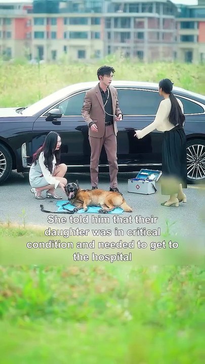 When a Dog Matters More A Mother's Heartbreaking Loss and Betrayal