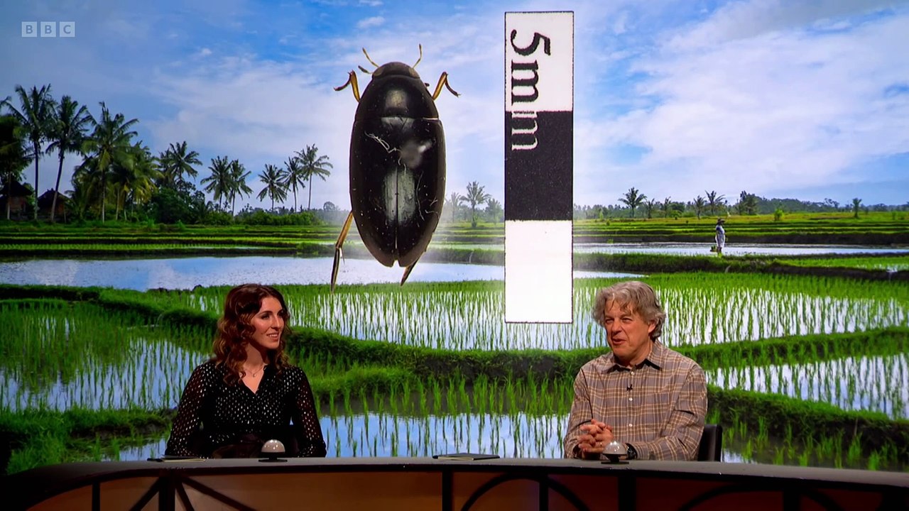 QI Series 22 Episode 16: The Best Bits You Can't Miss! 🎉