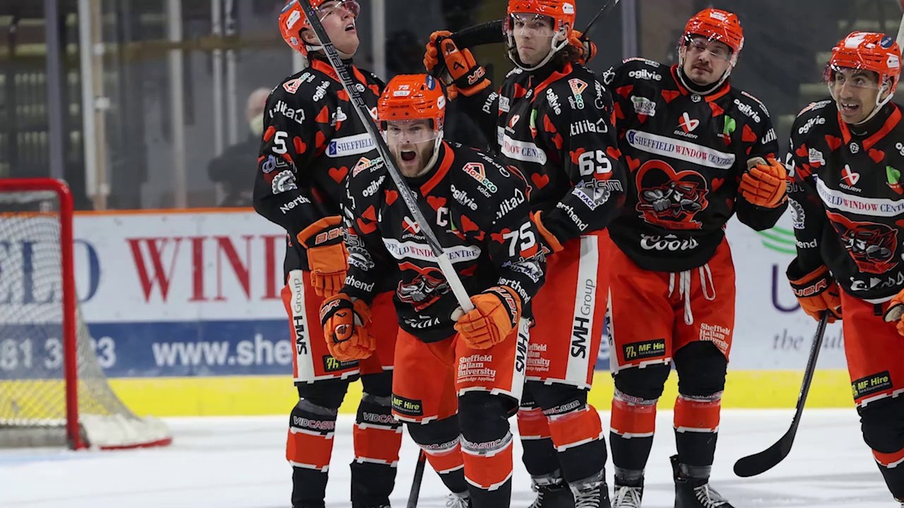 Sheffield Steelers - Robert Dowd interview