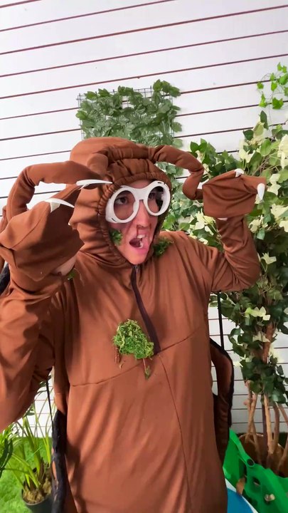 Unpacking Cockroaches #123go