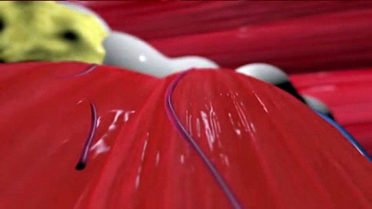 ¿Sabes cómo funciona la Crioterapia?