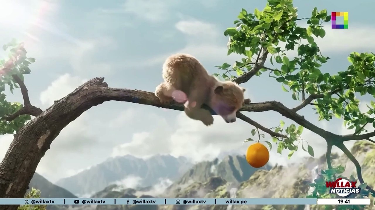 Willax Noticias - FEB 21 - EL OSO PADDINGTON ESTÁ EN PROBLEMAS | Willax