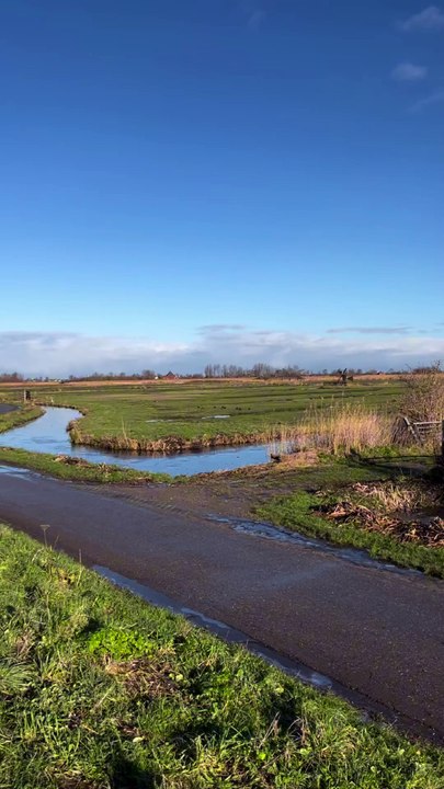 LES ICONIQUES polders hollandais