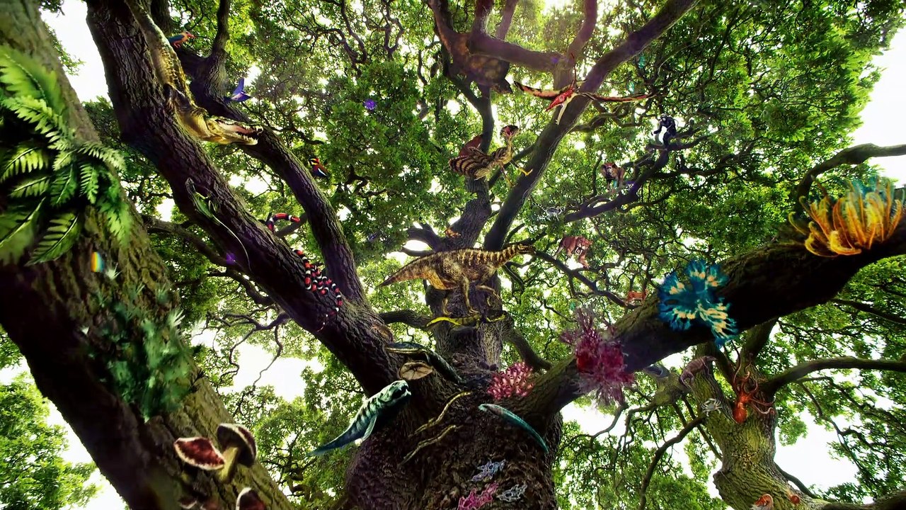 Cosmos 2014 - T1 capitulo 2