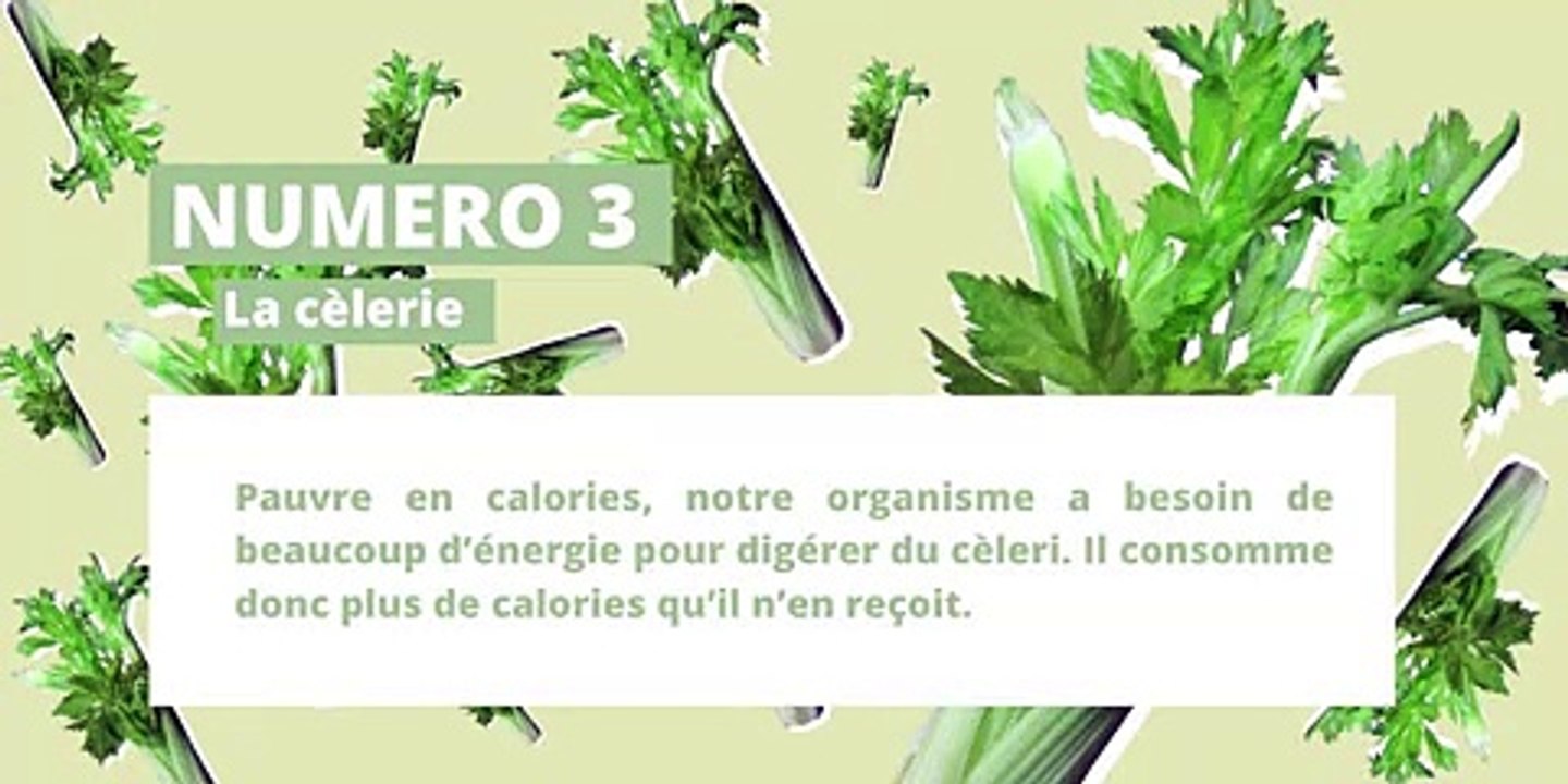 TOP 10 des aliments brûle-graisse efficaces (2)