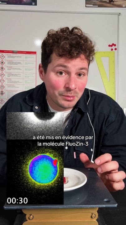 L’étincelle de la vie, chimique ? 🧪 on voit ça avec un ovule et un spz 🐛